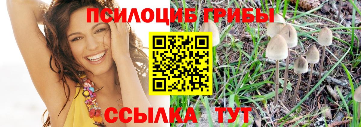 Приморско-Ахтарск  Псилоцибиновые грибы мицелий  Псилоцибиновые грибы Psilocybine cubensis  Вход с VPN 
