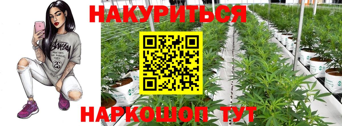 Каннабис планчик  Конопля AK-47  МАРИХУАНА сатива  Приморско-Ахтарск  Вход с VPN 